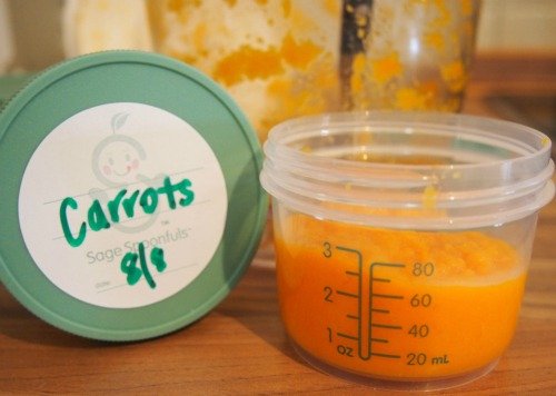 hand blender for baby puree