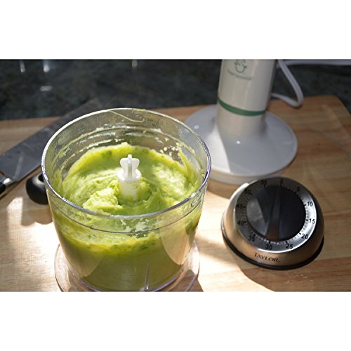 sage spoonfuls baby food maker